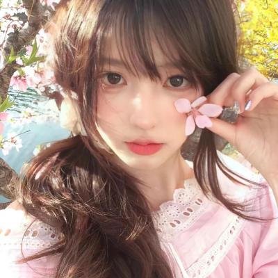 寻芳浪蝶